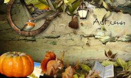 Ngày mới 9/11: Song Tử gặp rắc rối tình cảm