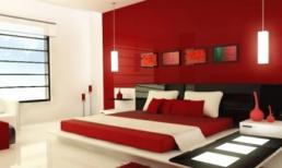 Vì sao người tuổi Tuất nên trang trí nhà màu đỏ?