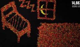 Những tạo hình tuyệt vời từ hàng nghìn viên kẹo