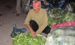 Giật mình quy trình biến rau Trung Quốc thành rau nội