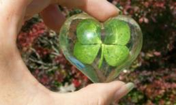 Bốn chiếc lá “bùa yêu” chấn động phiên tòa bé gái 16 si tình ông 67?