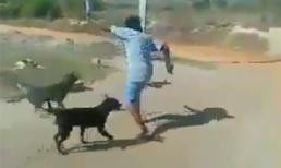 Màn đối đầu nảy lửa giữa thanh niên cứng và bầy chó