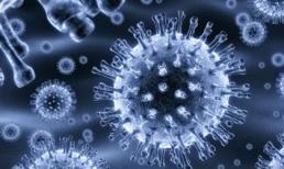 Đã tìm ra vắc-xin viêm gan C mới