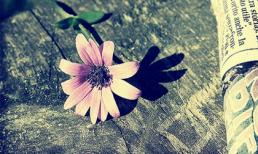 Tử vi cung hoàng đạo thứ Sáu của bạn (14/11/2014)