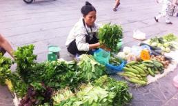 Hà Nội: Giá rau củ tăng mạnh đón rét