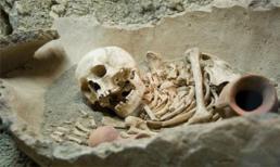 Kinh hãi thăm hòn đảo sọ người với tục mai táng bằng... kiến