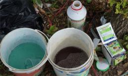 Hãi hùng mục sở thị 'tắm thuốc' tăng trưởng cho rau quả