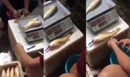 'Độc' chiêu giúp cá tăng cân và béo ngậy