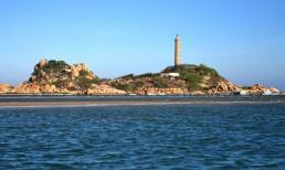 'Chú cá heo mắc cạn' giữa biển trời Bình Thuận