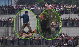'Hú hồn' fans vây kín, trèo cao bất chấp nguy hiểm để nhìn thần tượng