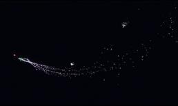 Ấn tượng với máy bay nhào lộn trong đêm