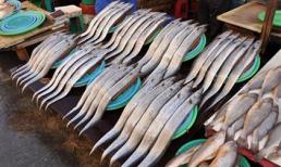 Đến thăm chợ hải sản Jagalchi nổi tiếng xứ Hàn