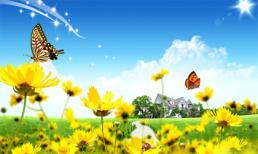 Tử vi cung hoàng đạo thứ bảy của bạn (22/11/2014)