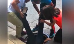 Cách nhìn khác đầy cảm động về con người đối xử với động vật