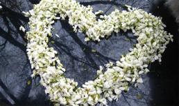 Tử vi cung hoàng đạo thứ Ba của bạn (25/11/2014)