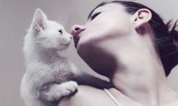 Cuộc đời không trả cát xê, sao em phải diễn?