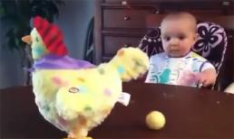 Bé thích thú xem gà đẻ trứng