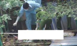 Bình Dương: Phát hiện xác người đàn ông trong hồ đá