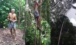 Ngạc nhiên với tài trèo cây của ông cụ ngoài 70