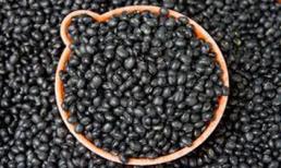 Thanh lọc cơ thể bằng đậu đen