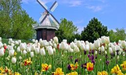 Tử vi cung hoàng đạo thứ năm của bạn (27/11/2014)