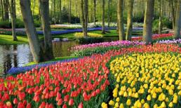 Vẻ lộng lẫy của 10 khu vườn đẹp nhất thế giới 