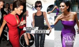 Phát hoảng với mốt gầy xơ xác của các người đẹp