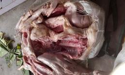 Ớn lạnh heo thối ngụy trang bằng lá chuối