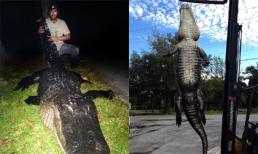 Cá sấu 'khủng' nặng 326kg vừa bị hạ gục