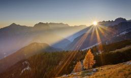 Tử vi cung hoàng đạo thứ hai của bạn (1/12/2014)