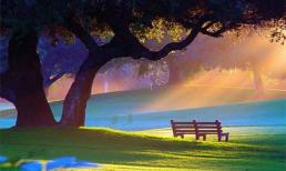 Tử vi cung hoàng đạo thứ ba của bạn (2/12/2014)