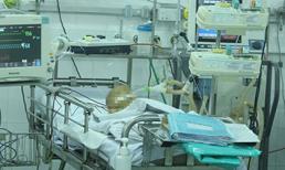 Vụ hai trẻ nghi bị tiêm thuốc diệt cỏ: Một trẻ đã tử vong