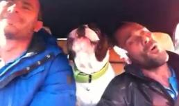 Cún cưng nghêu ngao hát theo chủ