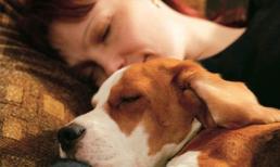 Sai lầm về giấc ngủ bạn nên tránh