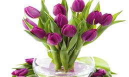 Tử vi cung hoàng đạo thứ sáu của bạn (5/12/2014)