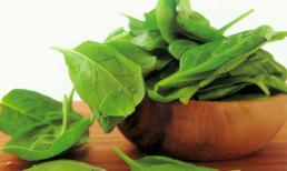 Thực phẩm 'độc quyền' nuôi con chân dài