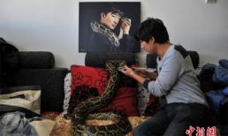 Anh chàng chung sống với 25 con trăn dưới một mái nhà