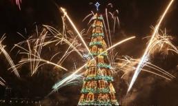 Ngắm những cây thông noel độc đáo nhất thế giới