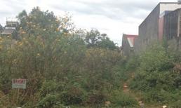 85 tuổi vẫn giở trò bậy với bé gái mồ côi ngây ngô