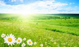 Tử vi cung hoàng đạo thứ tư của bạn (10/12/2014)