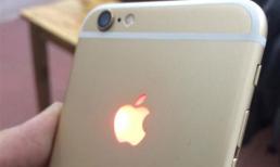 iPhone 6 có thêm bản độ logo táo đỏ tại Việt Nam