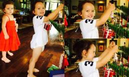 Hai con nhà Hồng Nhung rộn ràng trang trí cây thông Noel