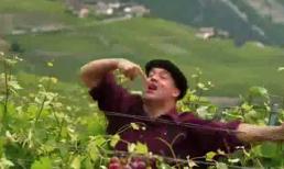 'Lần đầu' trong vườn nho