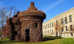 Kỳ quái những tác phẩm điêu khắc được bện từ cây