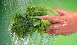 4 sai lầm thường mắc phải khi sử dụng rau xanh