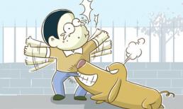 Những chuyện tưởng bở nhưng không... bở