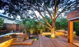 Ngôi nhà có khu vườn 'đẹp đến lặng người'