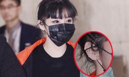 Park Bom (2NE1) bị nghi lấy sụn ở tai để tiếp tục nâng mũi