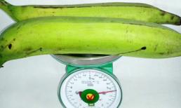 Người Sài Gòn kinh ngạc với chuối khổng lồ