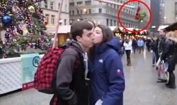 Thành quả ngoài mong đợi nhờ cành cây mistletoe